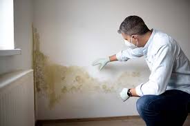 Best Mold Removal for HVAC Installations  in Southgate, FL